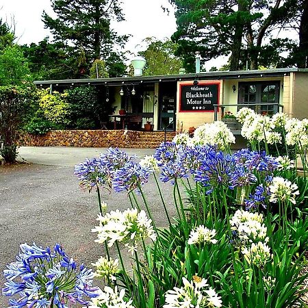 Blackheath Motor Inn エクステリア 写真