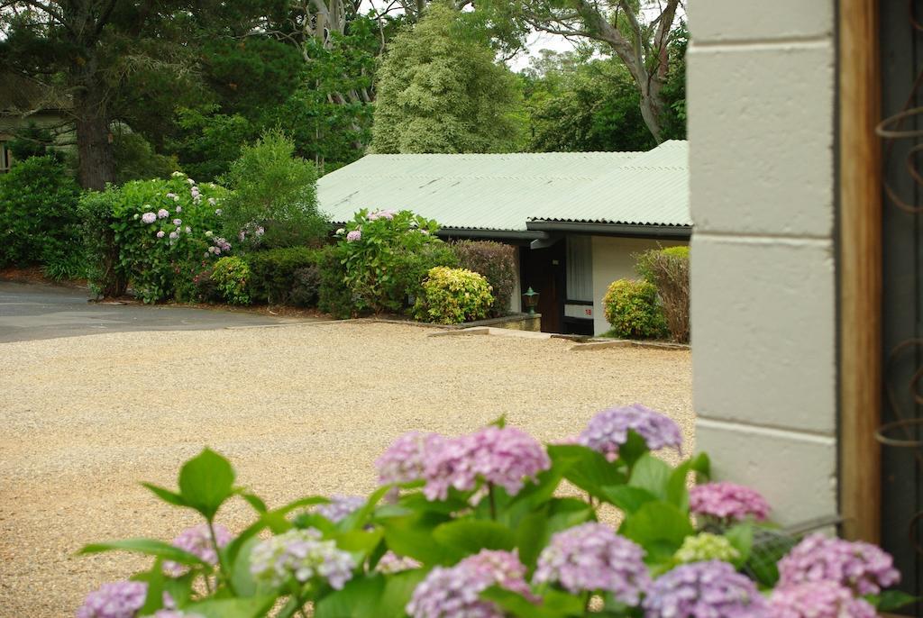 Blackheath Motor Inn エクステリア 写真
