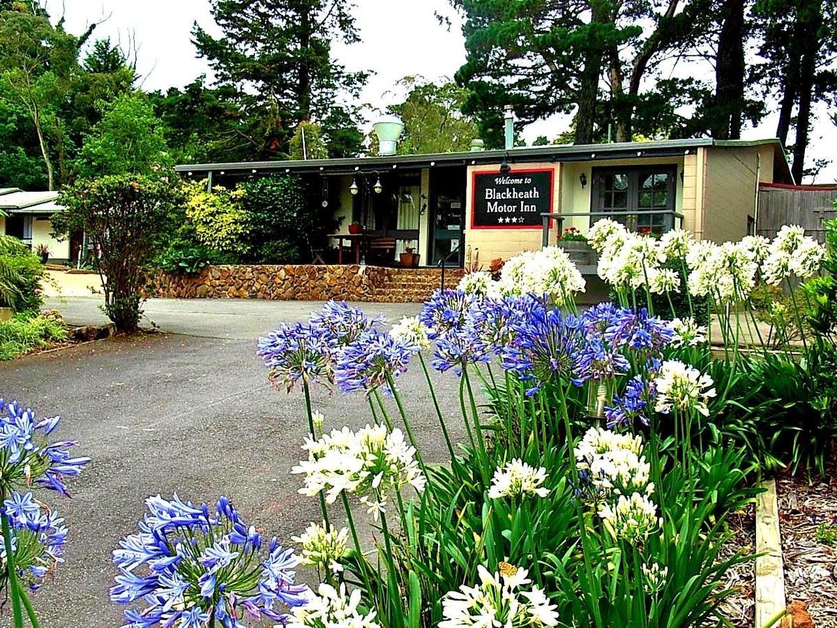 Blackheath Motor Inn エクステリア 写真