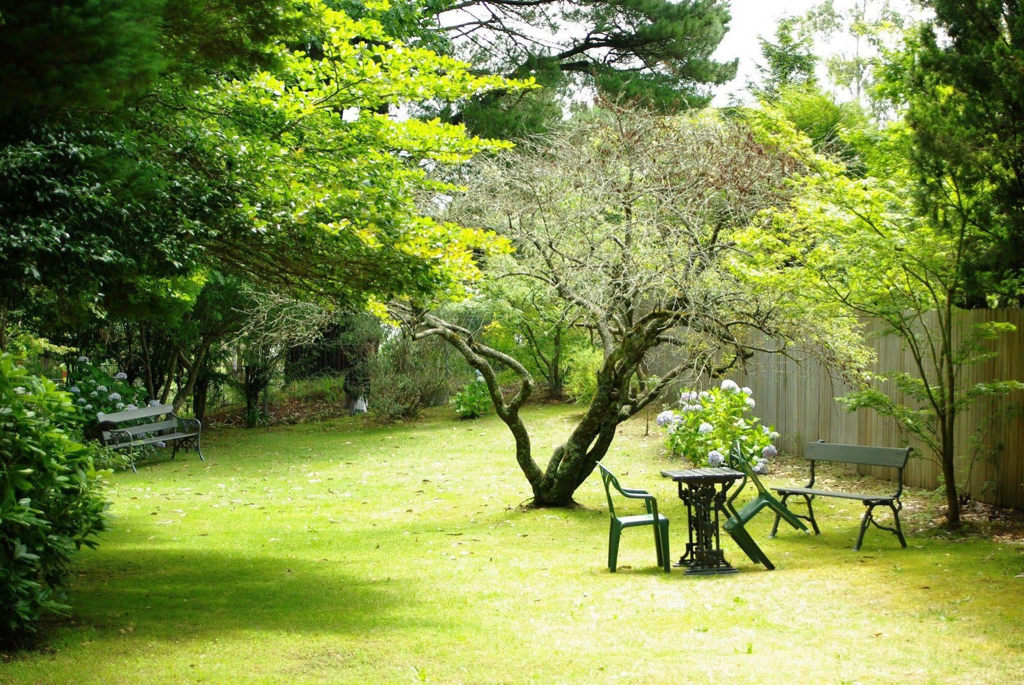 Blackheath Motor Inn エクステリア 写真